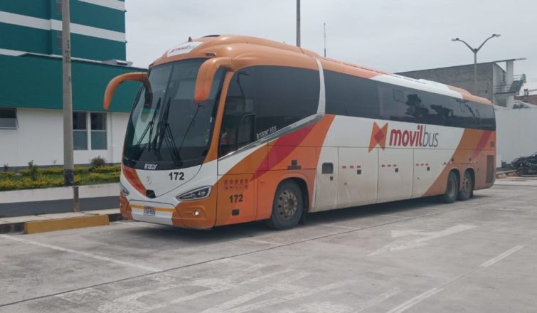 movil bus