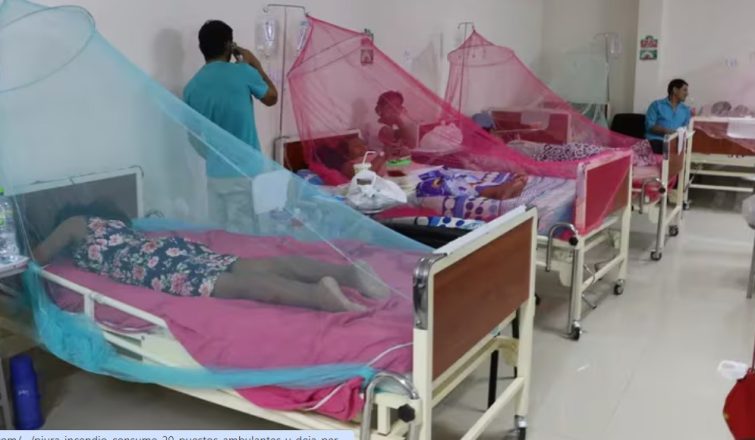 DENGUE