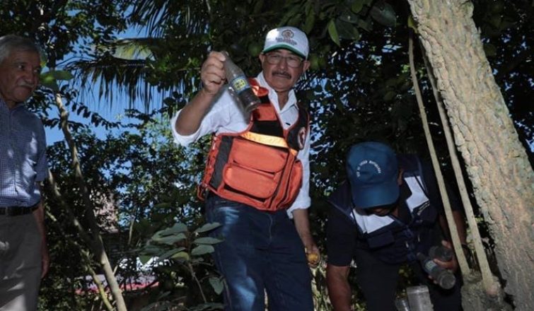 Gobernador encabezó campaña de recojo de criaderos de zancudos