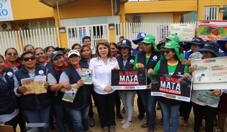 La ministra de Salud supervisará las acciones en contra del dengue