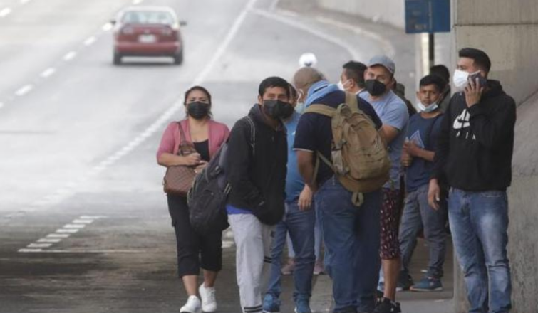 PBI por Inmovilización