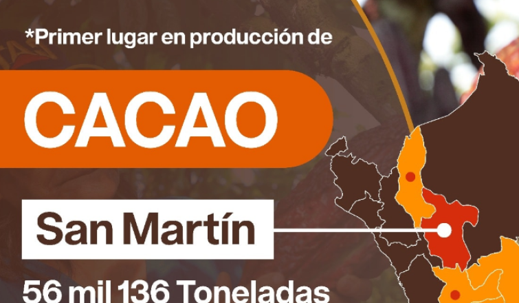 Producción cacao