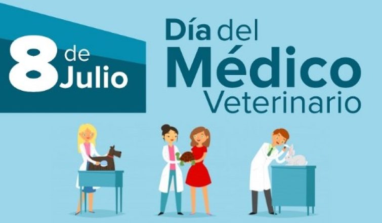 VETERINARIO