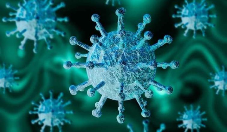 coronavirus