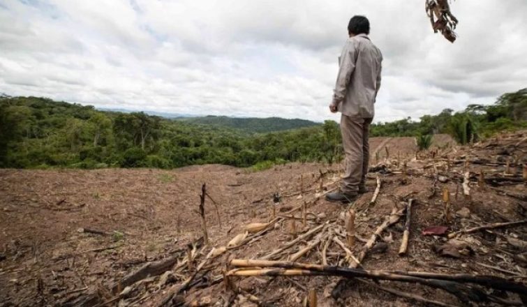 deforestac
