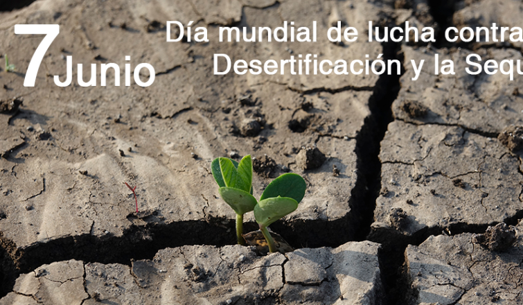 desertificacionn