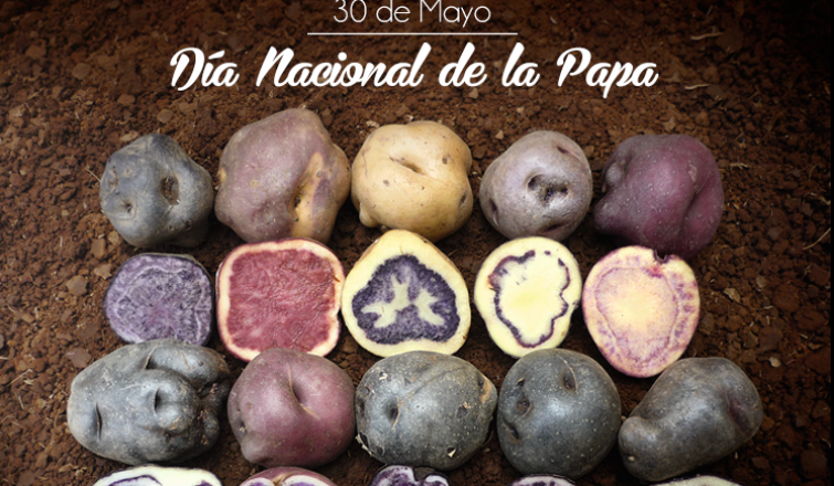 dia de la papa