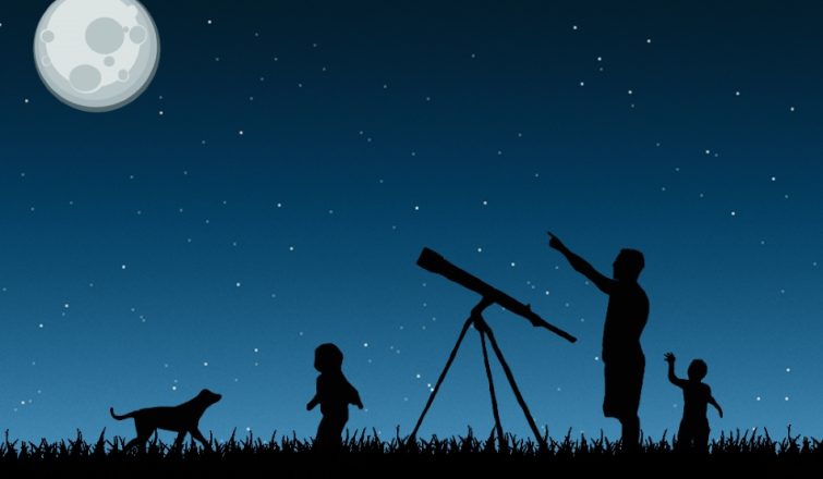 observacion