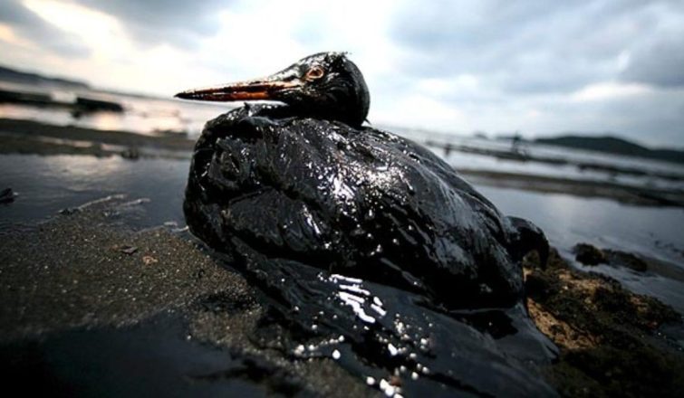 petróleo